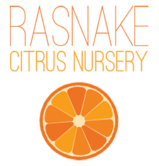 Citrus Nursery in Winter Haven, FL